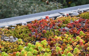 the cost of Trewern green roof installation